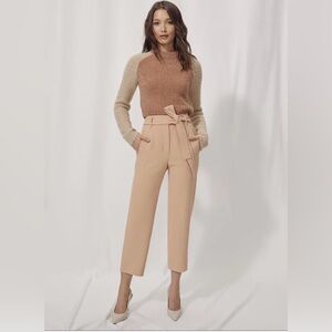 NWT Aritzia Wilfred Free Colorblock Meridian Sweater